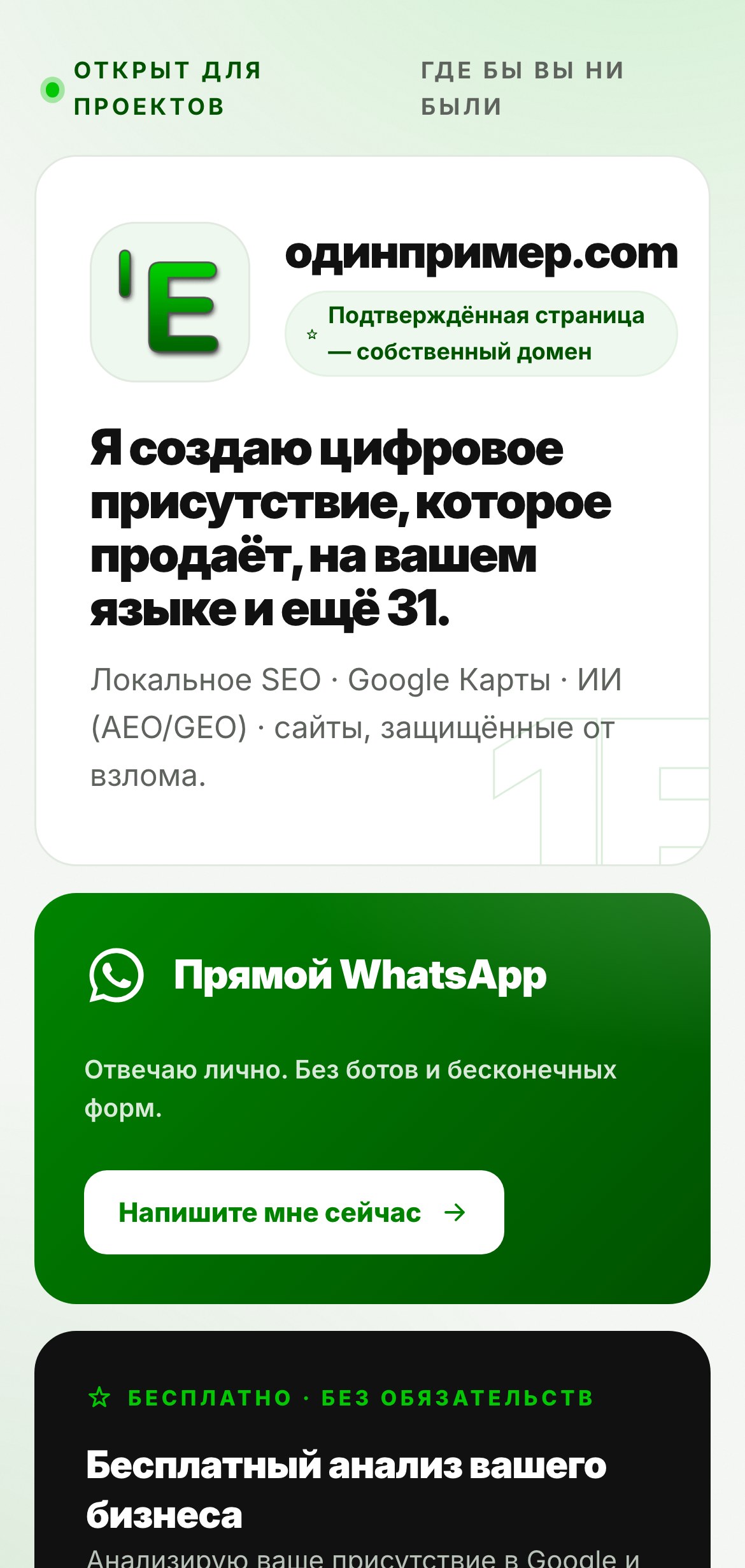 Настоящая BIO-страница от ОдинПример.com, открытая на телефоне